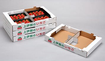 “Partitioned 4-Pack Strawberry Tray”