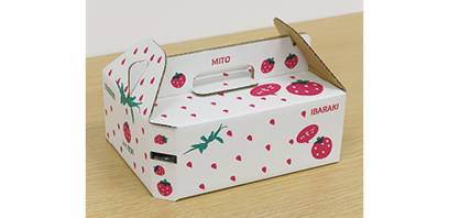 Cardboard Box with a Handle for Strawberry