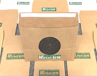 Paper Net Envelope