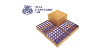 Nara Strawberry Laboratory Gold Premium Collection