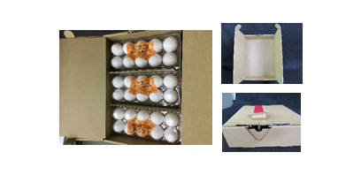 Corrugated Cardboard Box for Catalog Sales and present