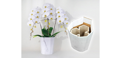 100% Paper-made Phalaenopsis Vase, Including a Pot
