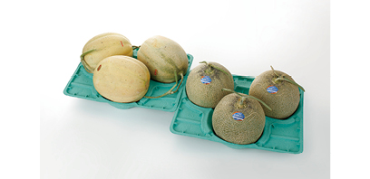 The Pulp Molded Trays for Hokkaido Melon (for Large Size)